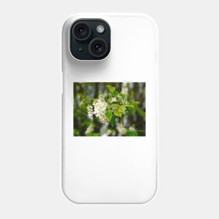 Spring Tree Blossoms Phone Case