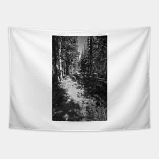 Glacier National Park Lake Wooded Path Tapestry