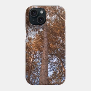 Autumn Trees Phone Case