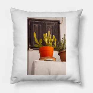 Red plant pot. Pillow