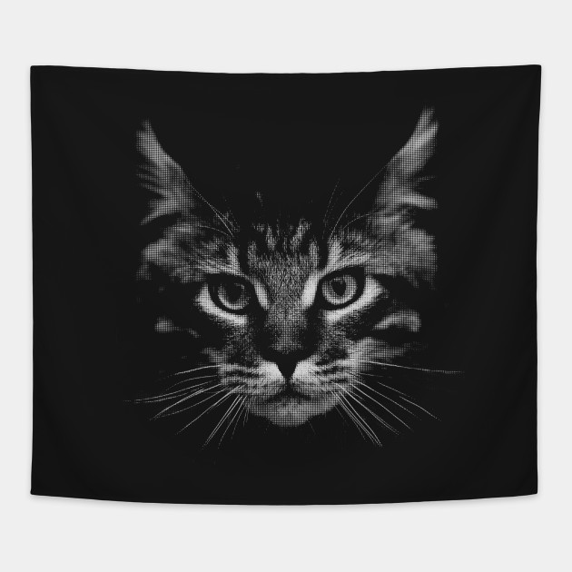 Black And White Cat
