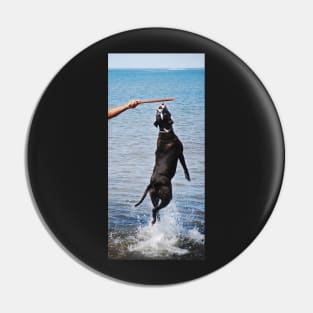 Fetch! Pin