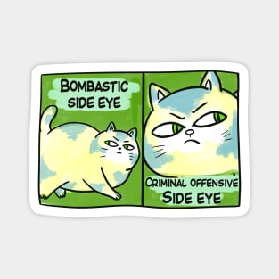 BOMBASTIC SIDE EYE FUNNY TIKTOK CAT MEME Magnet