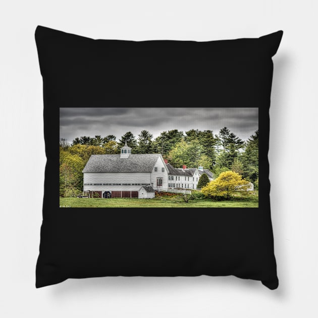 Merrucoonegan Farm Pillow by BeanME