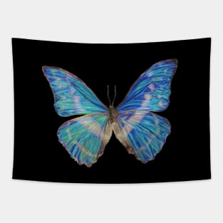 Blue Butterfly Drawing -Morpho in Pencil Realistic Tapestry