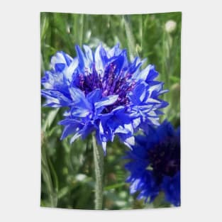 Cornflower Tapestry