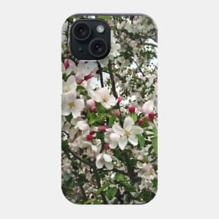 Apple Tree In Bloom Phone Case