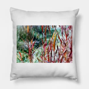 Grasses Pillow