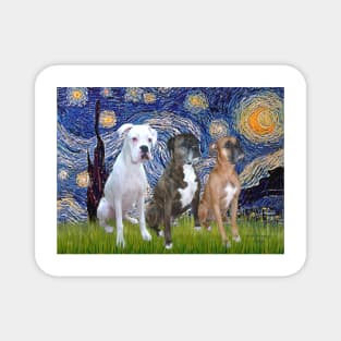 Starry Night with Three Boxers (natural ears) Magnet