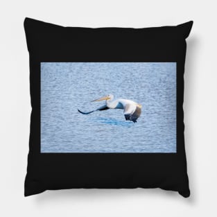 American White Pelican Gliding Along Pillow