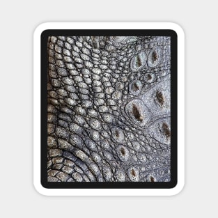 Crocodile 001 Magnet