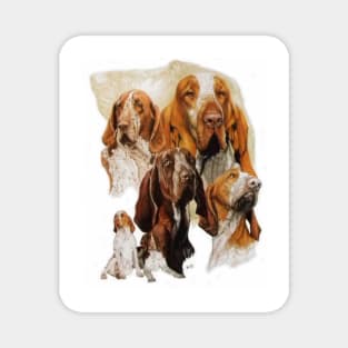 Bracco Italiano Magnet