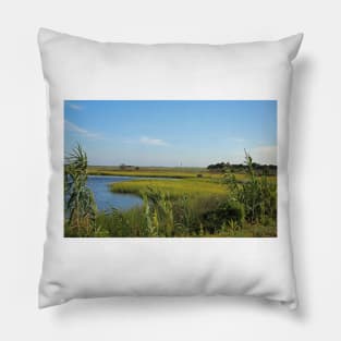 Beautiful View Pillow