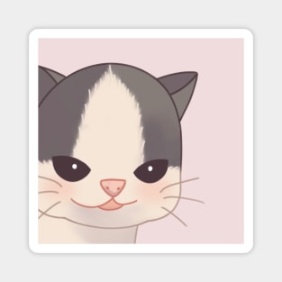 Smug Cat Hehe Magnet