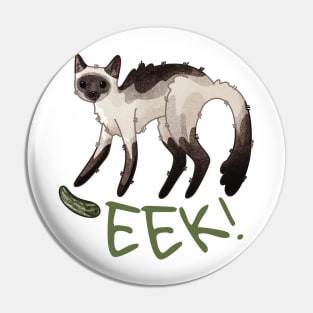 Eek! - Cat versus cucumber Pin