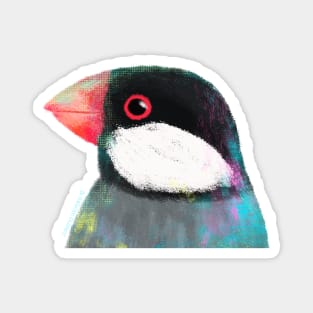 Java Sparrow Bird Magnet