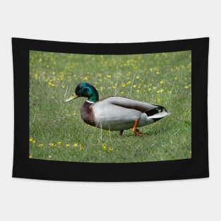 Do I Look Like A Sitting Duck? Tapestry