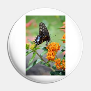 Black Swallowtail Butterfly Pin