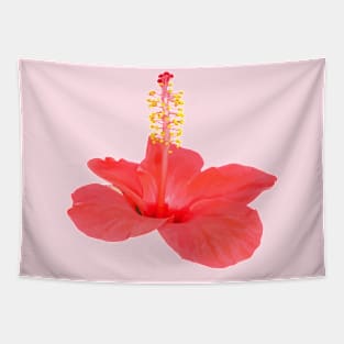 Hibiscus Exotic Tropical Flower Cut Out Tapestry