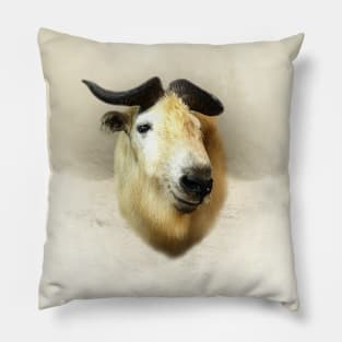 Takin Pillow