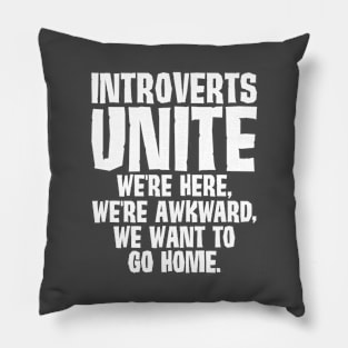 Introverts Unite We Want To Go Home Pillow