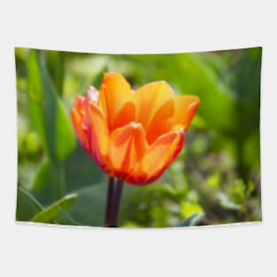 Orange Flower Tapestry