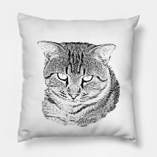 Tabby Cat Sketch Pillow