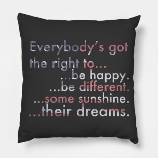 Everybody's Got The Right... Pillow