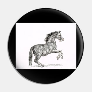 Stallion Pin