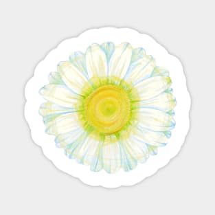 camomile flower Magnet