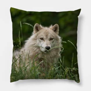 Arctic Wolf Pillow