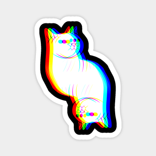 Cat Prism Magnet