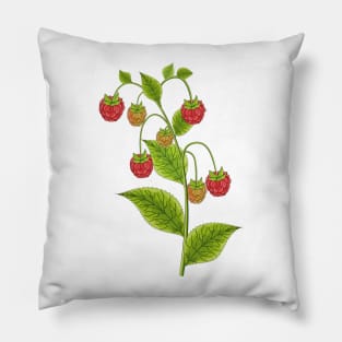 Raspberry Art Pillow