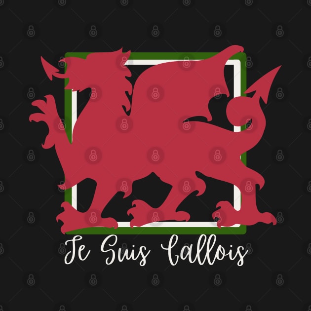 Je Suis Gallois, Welsh in France by Teessential