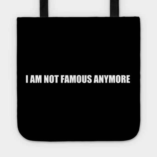 I Am Not Famous Anymore T Shirt Funny Quote Shirt Youtube Star