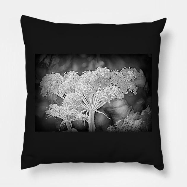 Cow Parsnip Infrared by Debra Martz Pillow by Debra Martz