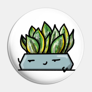 Pocket Plant - Sansevieria Pin