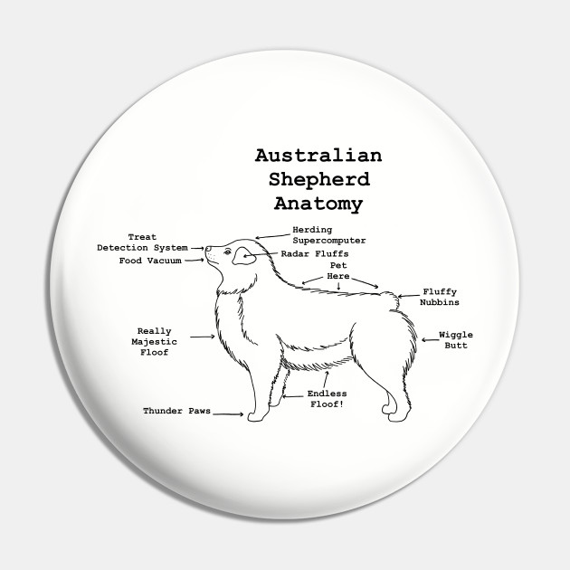 Anatomy Australian - Dog - Pin | TeePublic