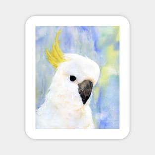 Sulphur Crested Cockatoo Watercolour Painting by Heather Holland Magnet