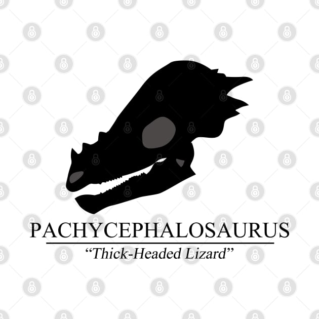 Pachycephalosaurus Skull by SakuraDragon