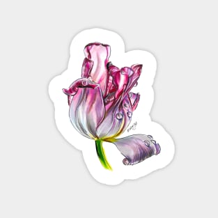 Tulip Magnet