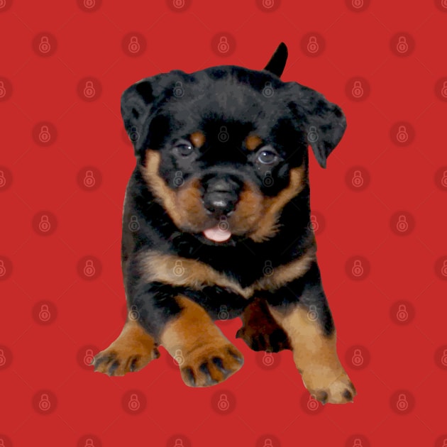 Cute Rottweiler Puppy Running With Tongue Out by taiche