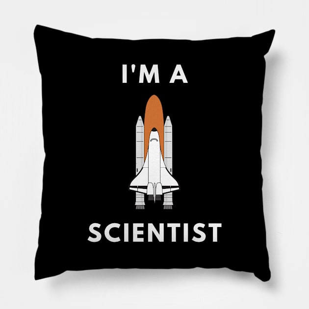 I am a Scientist - Rocket Science Pillow by Chigurena