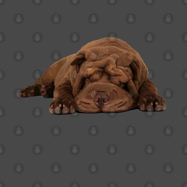 Shar-Pei by sibosssr