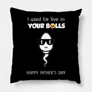 I Used To Live In Your Balls Funny Son Happy Father's Day Pillow