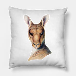 kangaroo Australia  lowland king Pillow