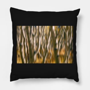 Aspen Abstract Pillow