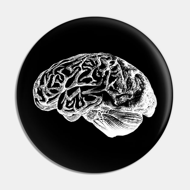 Anatomical Correct Brain Illustration Pin by StilleSkyggerArt