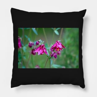 Liquid Columbine Pillow