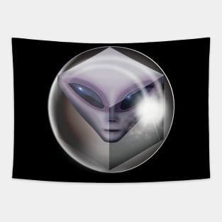 Alien Cubic Sphere Tapestry